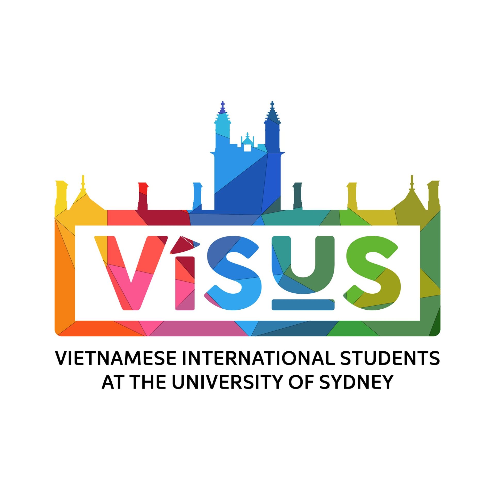 VISUS logo